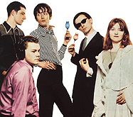 Pulp